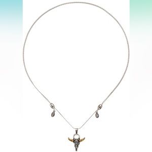 Alex and Ani Spirited Skull adjustable necklace silver gold